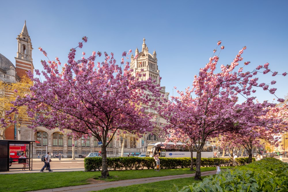 A Tale of Two Escapes: From Surrey's Royal Countryside to London's Sophisticated Heart