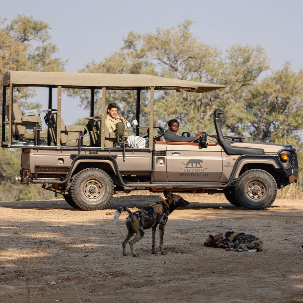 Chichele Presidential: A Luxury Retreat in the Zambian Wilderness
