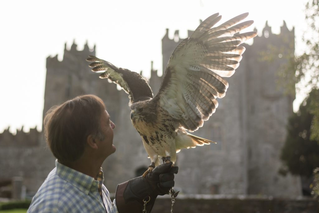 From Medieval Stronghold to Fairytale Escape: The Reinvention of Kilkea Castle
