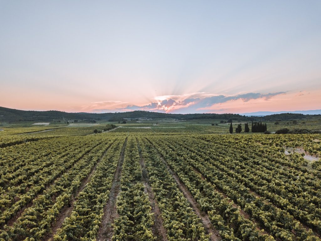 Tripping Off the Beaten Path in the South of France